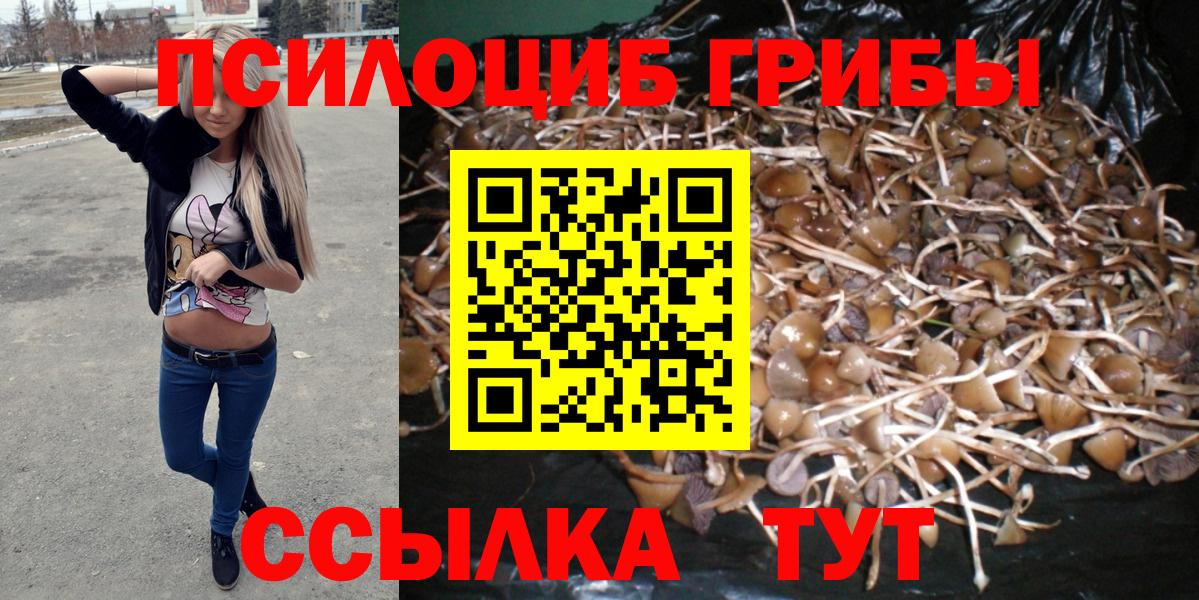 Сланцы  Псилоцибиновые грибы мухоморы  как найти   Вход с VPN 