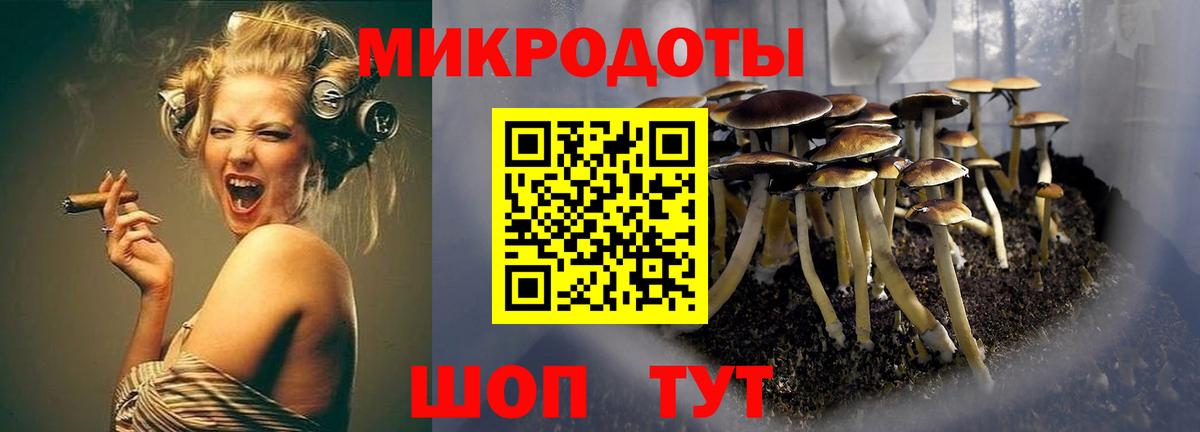 Псилоцибиновые грибы ЛСД Сланцы