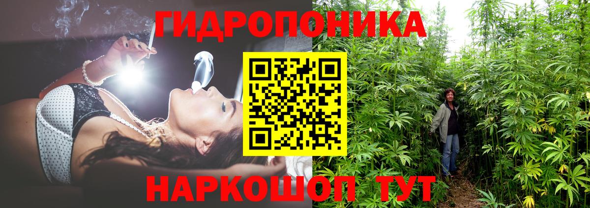 Канабис Ganja Сланцы